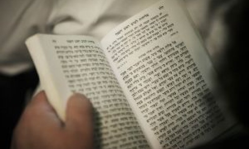 זכות יסוד לפולחן [צילום: פלאש 90]