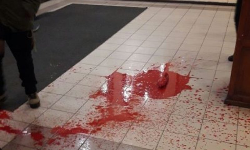 איברי חזיר כרותים על הרצפה [צילום: חסידי ברסלב באומן]