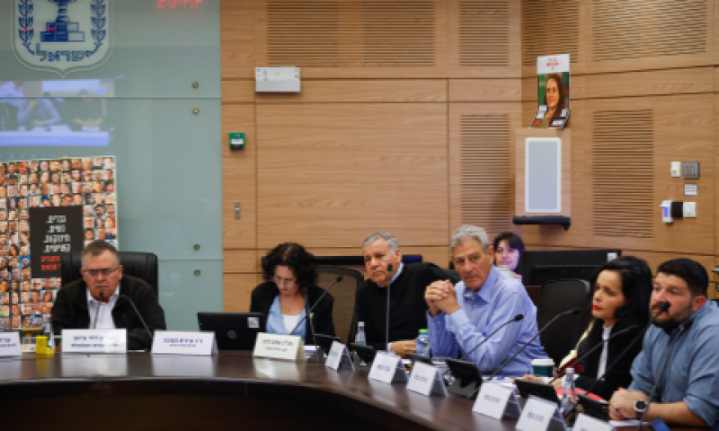 הדיון בוועדת הכלכלה [צילום: נועם מושקוביץ, דוברות הכנסת]