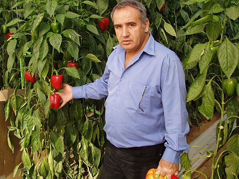 מאיר יפרח, מזכיר ארגון מגדלי ירקות [צילום: יח"צ]