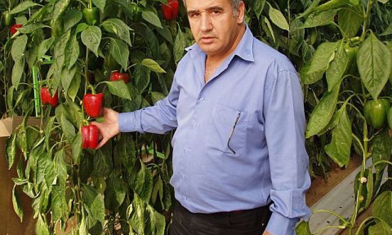 מאיר יפרח, מזכיר ארגון מגדלי ירקות [יח"צ]