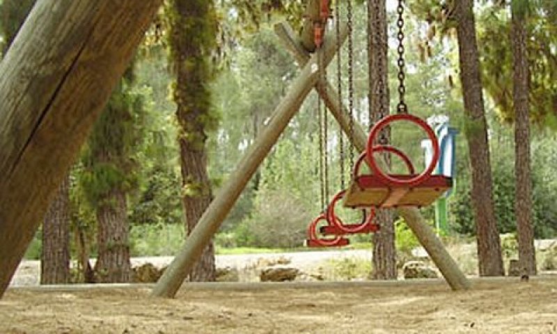 [צילום אילוסטרציה: עופר הירש-פורטן פיקניק]
