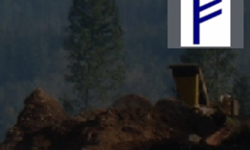 הנפקה ראשונה בישראל