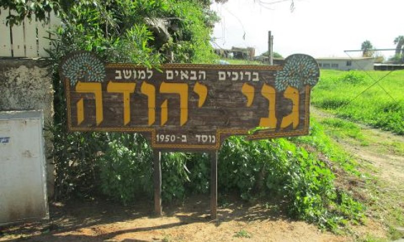 [צילום: אבישי טייכר]