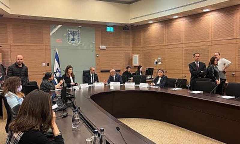 ועדת הכנסת [צילום: דוברות הכנסת]
