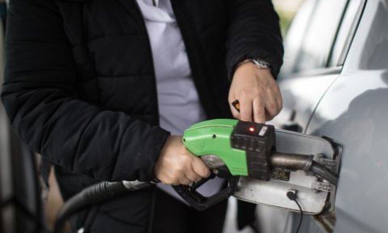 צאו לתדלק [צילום: הדס פרוש, פלאש 90]
