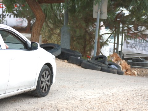 ההיערכות למאבק - בפיקוח ראש המועצה המקומית בבית אל [צילום: איציק וולף]