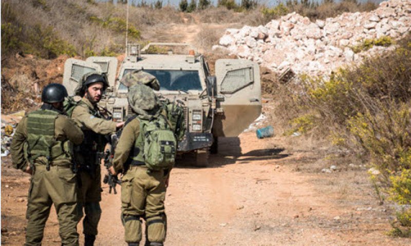 [צילום: באסל אווידעת/פלאש 90]
