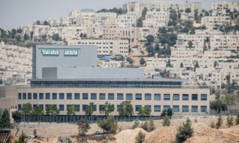 30 דונם [צילום: יונתן זינדל, פלאש 90]