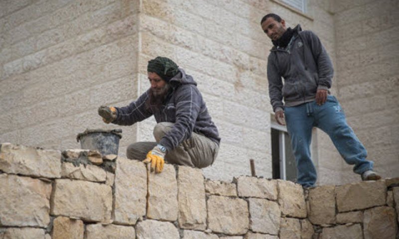 סיכויי העתירה - טובים בהחלט [צילום אילוסטרציה: נתי שוחט/פלאש 90]