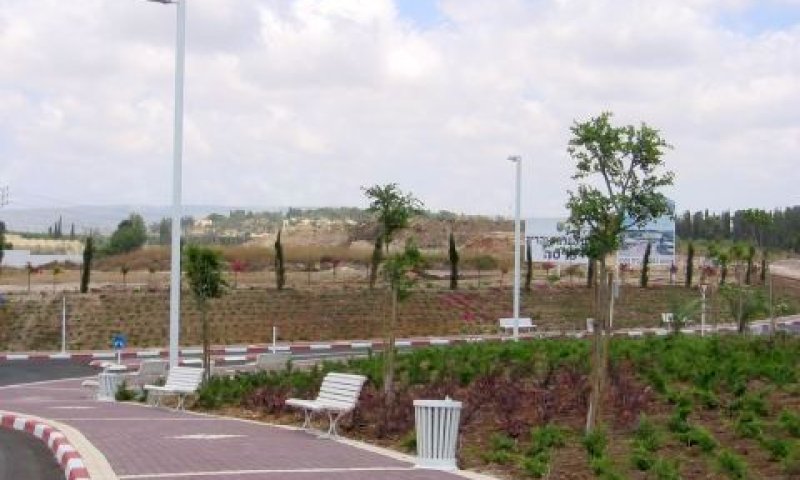 תעודות הפטירה זויפו [צילום: עידן יוסף]