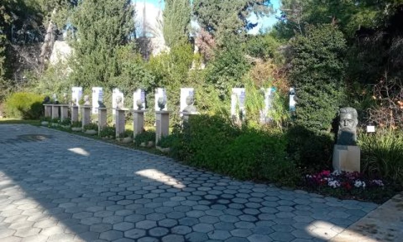 [צילום: איתמר לוין]