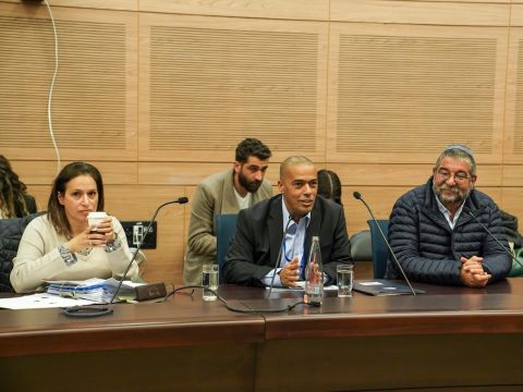 [צילום: דני שם-טוב/דוברות הכנסת]