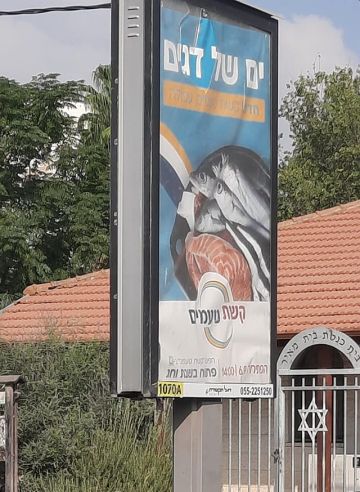 [צילום: יהודה פואה]