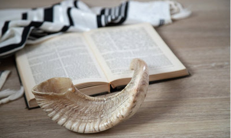 [צילום: freepik]