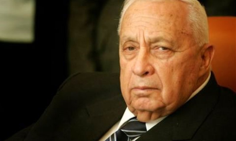 "אני לא מתרגש משרון" [צילום: AP]