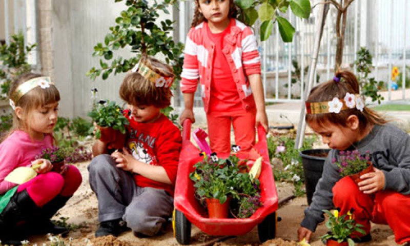 תקווה ישראלית [צילום: פלאש 90]