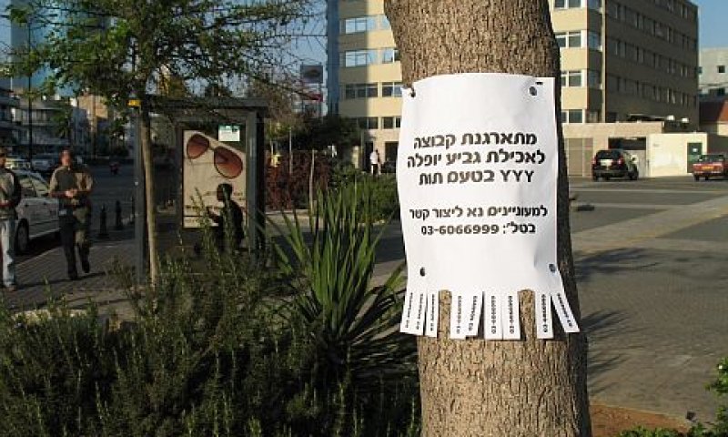 [צילום: יח"צ]