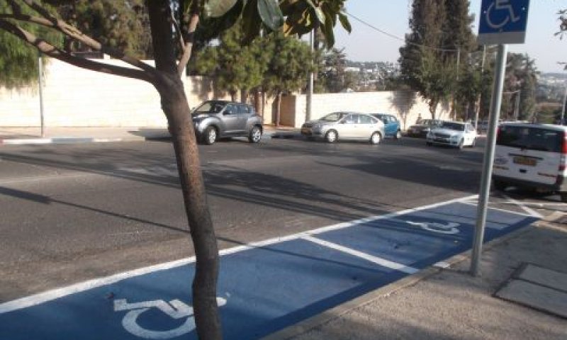 קושי לכמת את המרמה