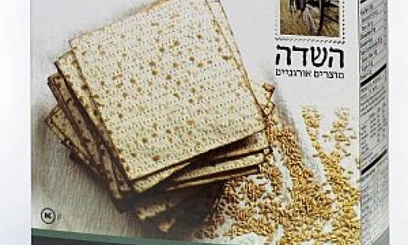 [צילום: יח"צ]