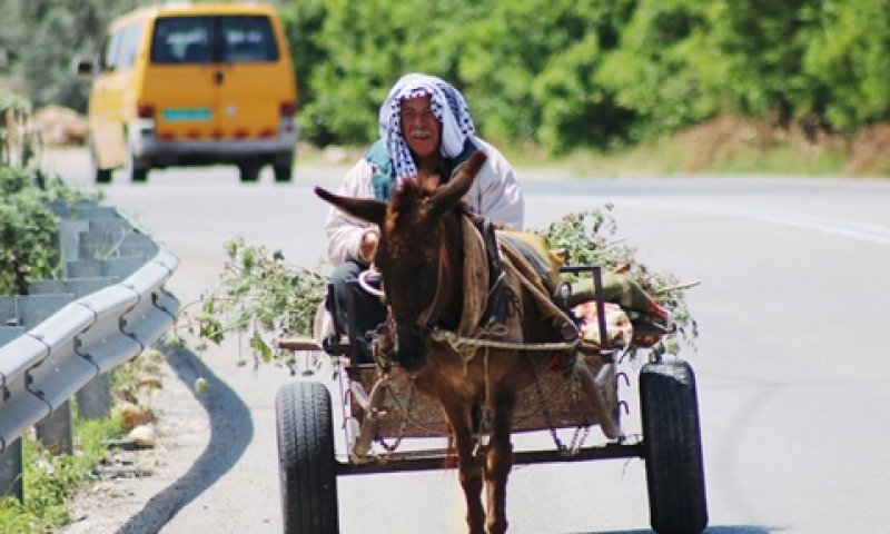 הקלות בבניה לפלשתינים [צילום: איציק וולף]
