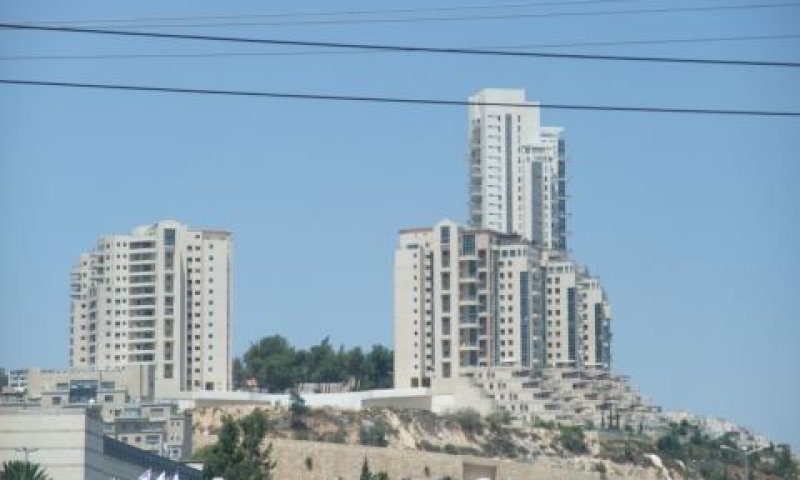 הולילנד. טיפול העירייה בפרויקט היה סביר ומקובל