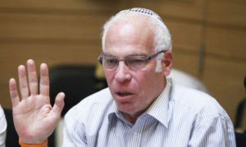 אריאל. מגונן על אריאל [צילום: פלאש 90]