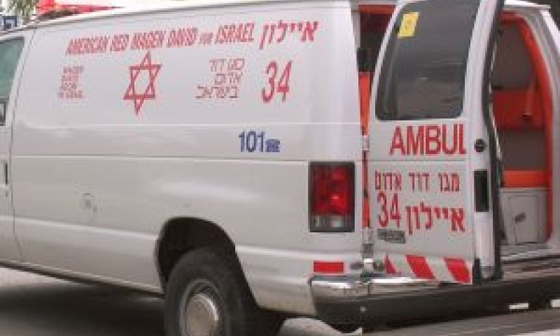 [צילום: עומר שיקלר]