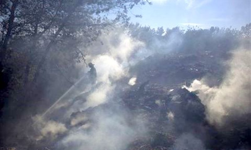 אסון השריפה בכרמל [צילום: AP]