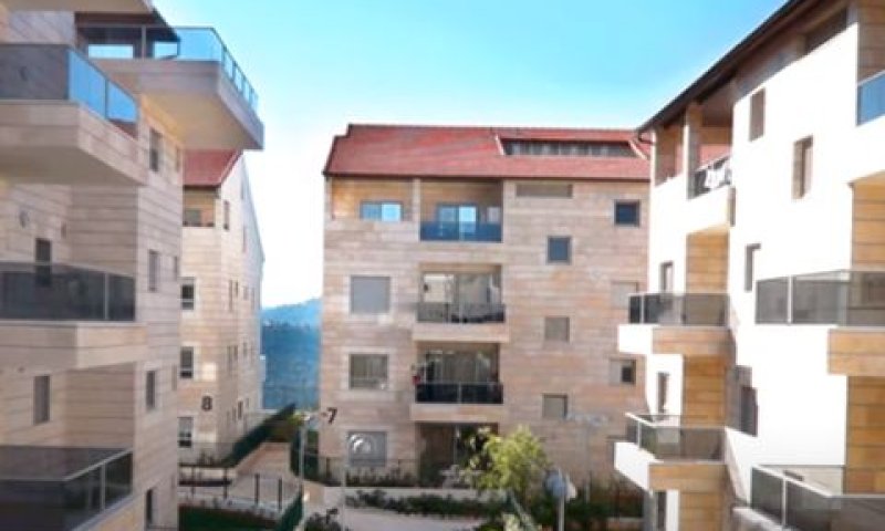 פרוטיאה בהר [צילום: יוטיוב / לאו ברנט ישראל]