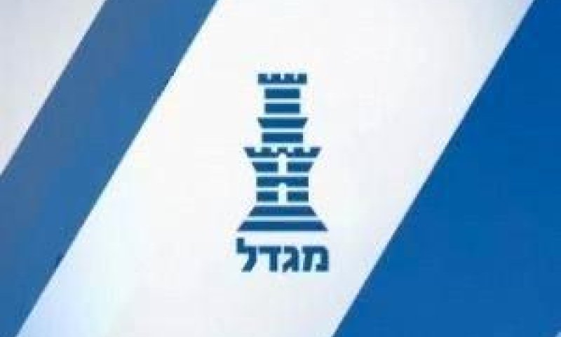 מגדל. הפסדים למבוטחים