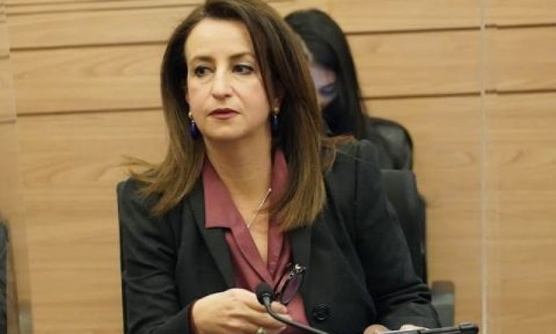 ח"כ ג'ידא רינאוי-זועבי. "אינני יכולה לתמוך בקואליציה" [צילום: דני שם-טוב/דוברות הכנסת]