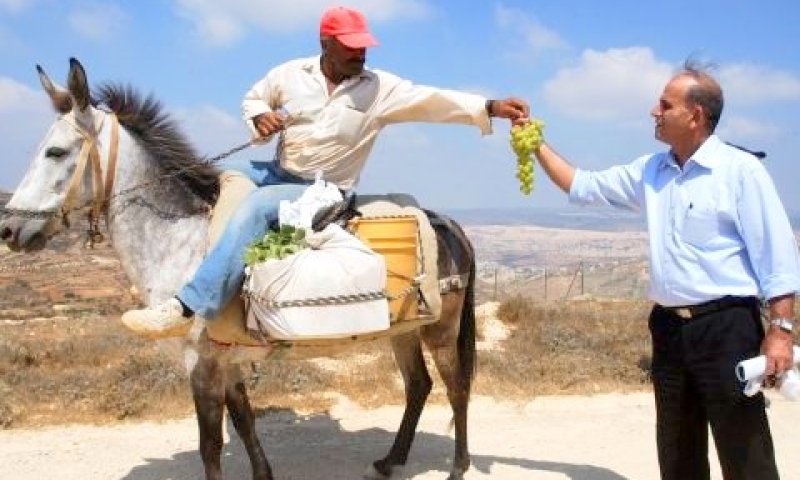 [צילום: פלאש 90]