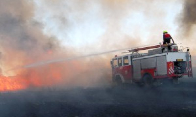 דליקות בעשרות מוקדים [צילום: פלאש 90]
