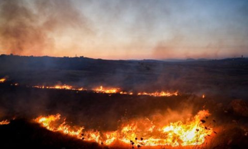 שטחים שהוצתו ליד שטח הכפר הפלשתיני קוסרא [צילום: פלאש 90]