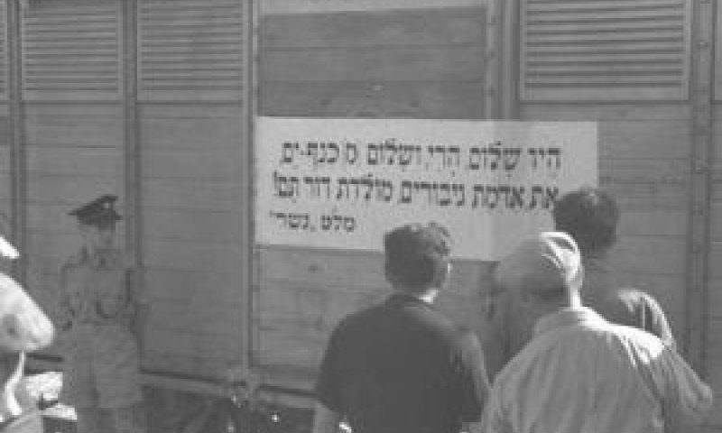 [צילום: טדי בראונר/לע"מ]