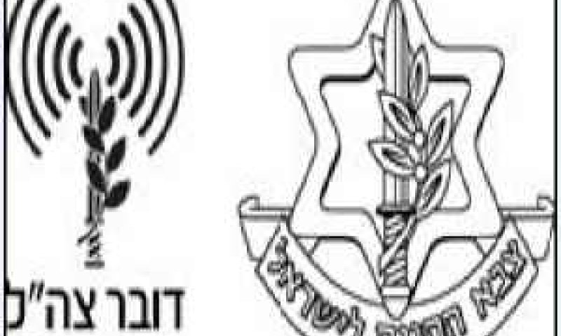 [צילום: דובר צה"ל]