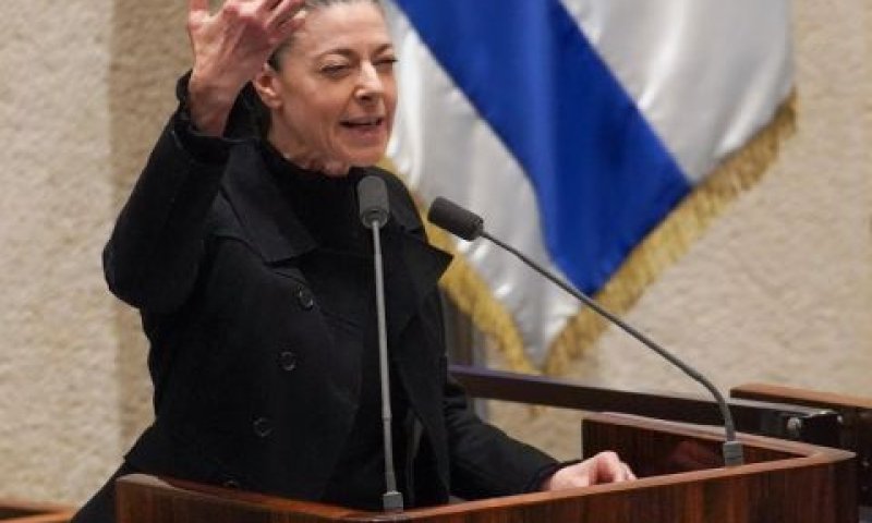 מיכאלי. בינתיים נשארת [צילום: דני שם-טוב/דוברות הכנסת]