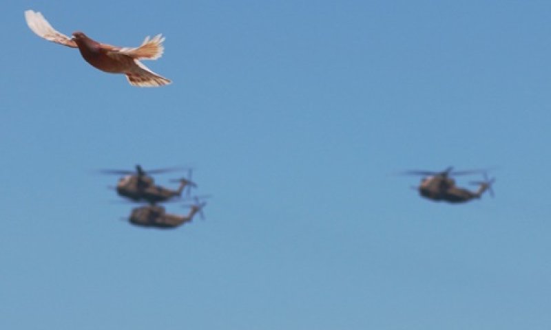 השנה יצטרף ה-F-35 למטס [צילום: איציק וולף]