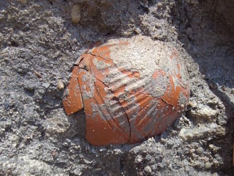 קערת חרס מיובאת מטיפוס האופייני לתקופה ההלניסטית [צילום: קובי שרביט, באדיבות רשות העתיקות]