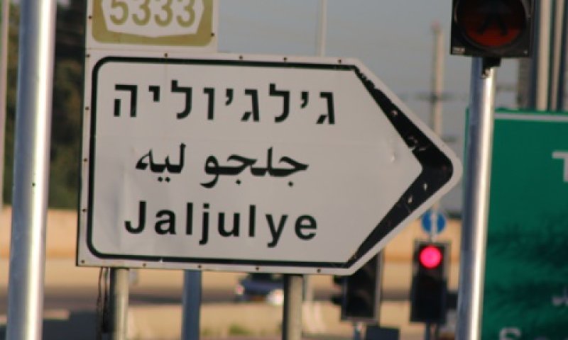 הנפגעים פונו לבתי החולים בילינסון ומאיר [צילום: איציק וולף]