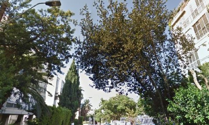 רחוב אפשטיין [צילום: סטריט וויו]