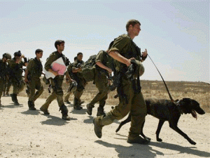 מזרימים לשטח כוחות רבים