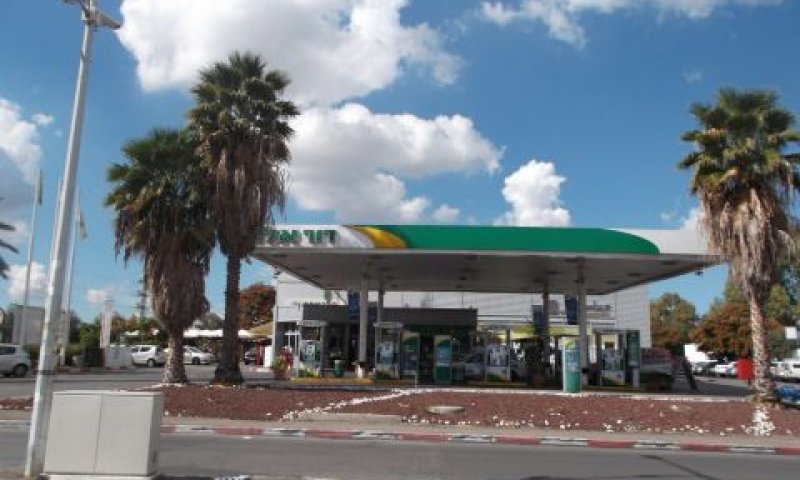 "החברה סולבנטית"