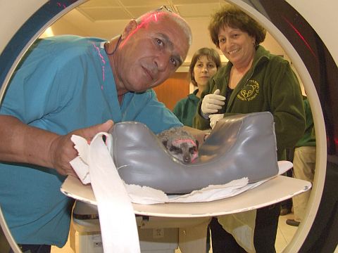 בטי עברה CT [צילום: רמב"ם-יח"צ]