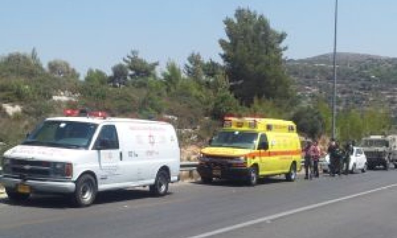 פעוטה שנשכחה ברכב [צילום: דוברות מד"א]