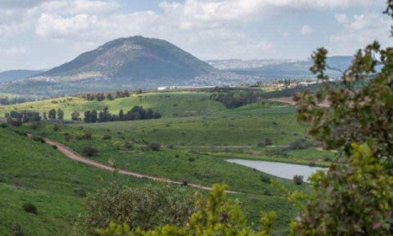 לא נקבעה תוכנית המשך [צילום: יהב גמליאל, פלאש 90]