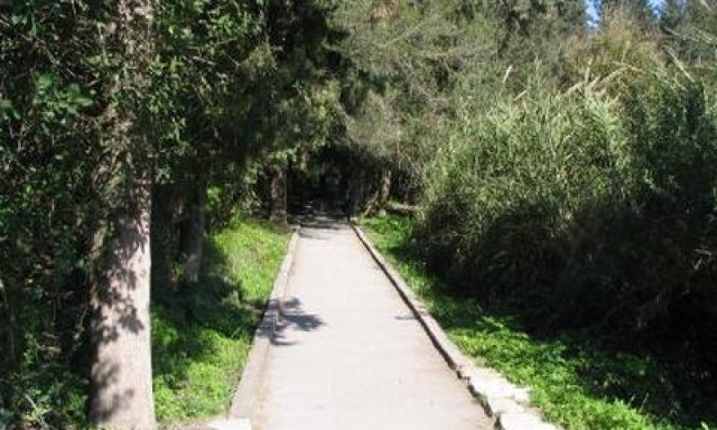[צילום: יח"צ]