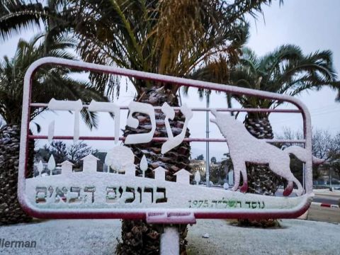 [צילום: דוברות המועצה האזורית בנימי]