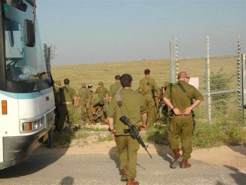 אחד הנפלים שנמצא [צילום: עוזי ברק]